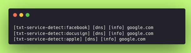 Nuclei scan output showing a drift-domain-verification TXT record match